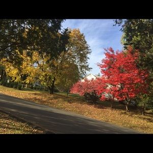 Meet your Posher, Rehena